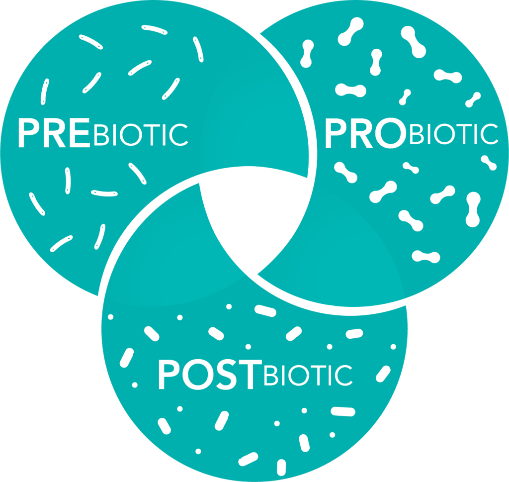 Pre Pro And Postbiotics The Next Generation Gut Health BE Pre Pro And Postbiotics The Next Generation Gut Health BE