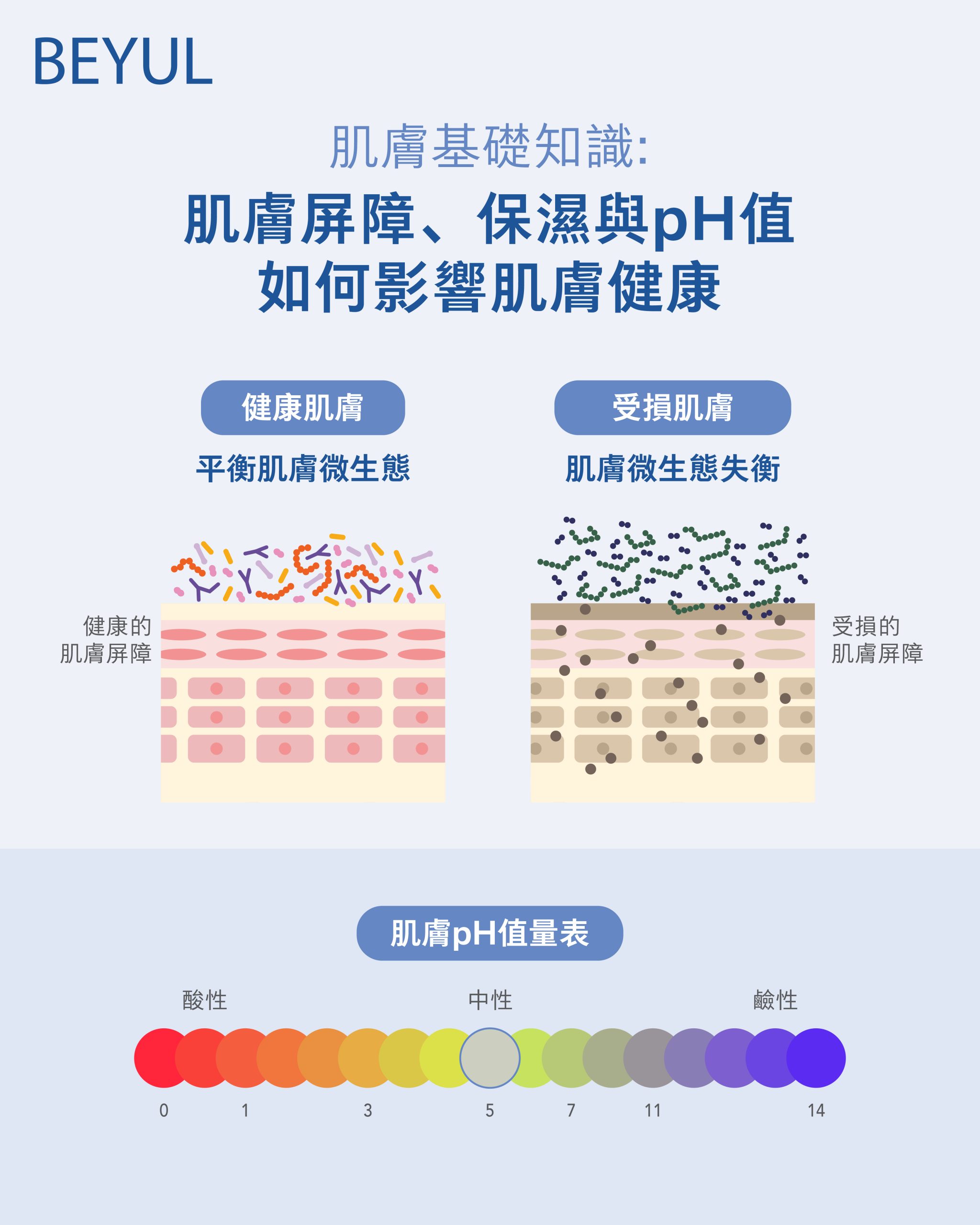 肌膚基礎知識：為什麼肌膚屏障強度、水分和 pH 值對肌膚健康至關重要?
