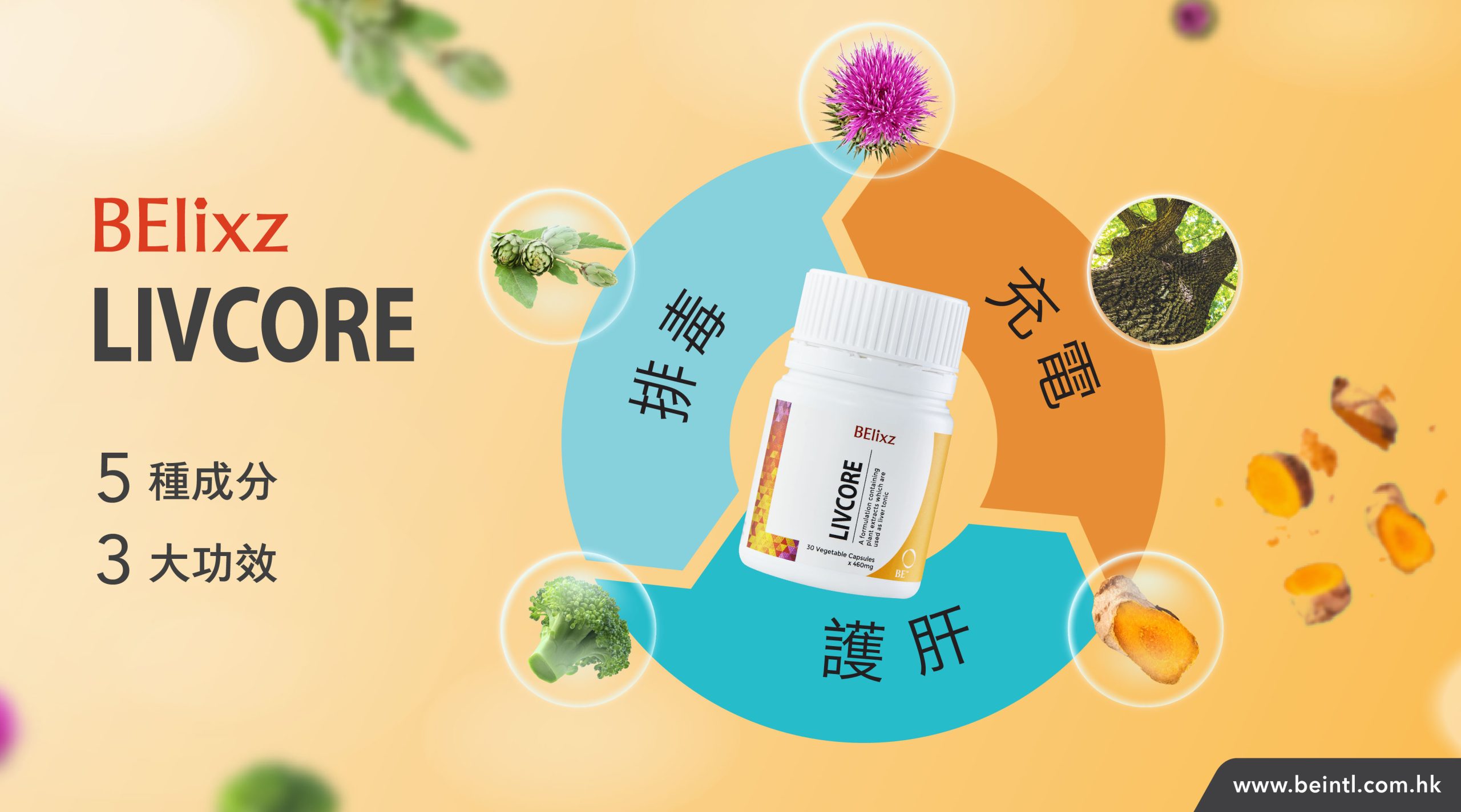 BElixz LIVCORE 使用指南：天然護肝、成分與功效