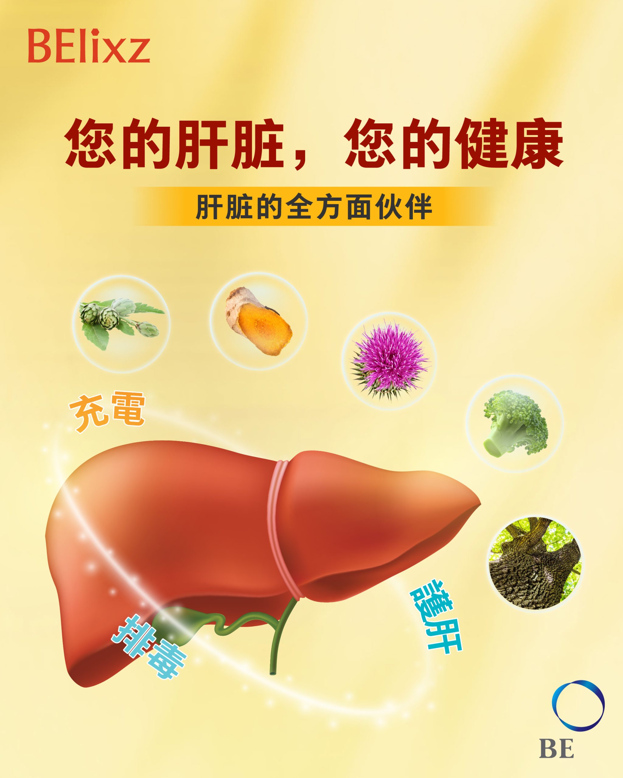 你的肝臟健康，由你守護：全方位肝臟健康的貼心夥伴