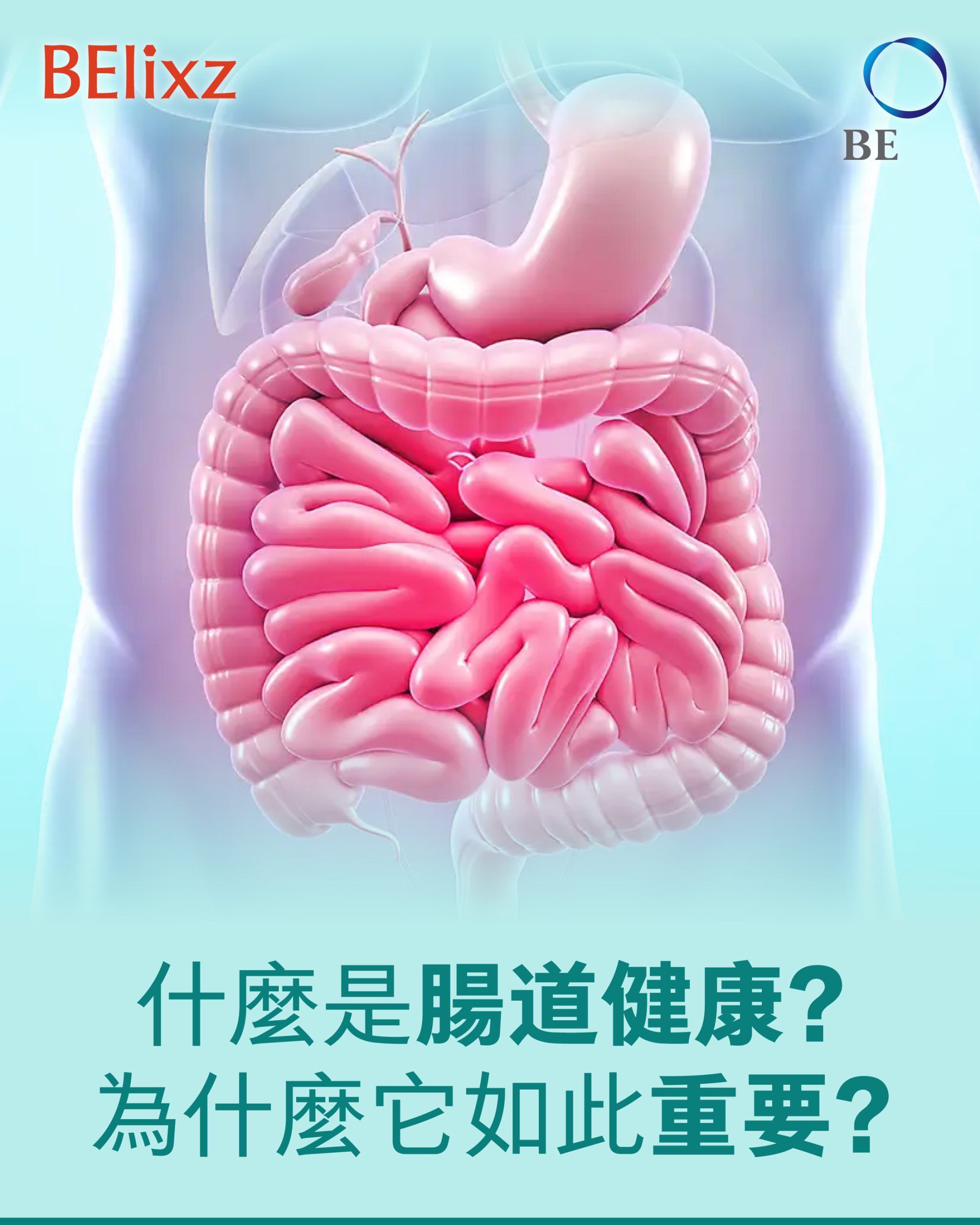 你的腸道是否正在悄悄影響你的健康？